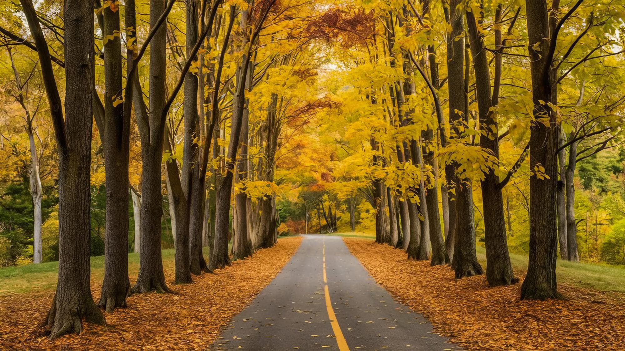 Road trip Nouvelle-Angleterre en automne : itinéraire foliage 10 jours