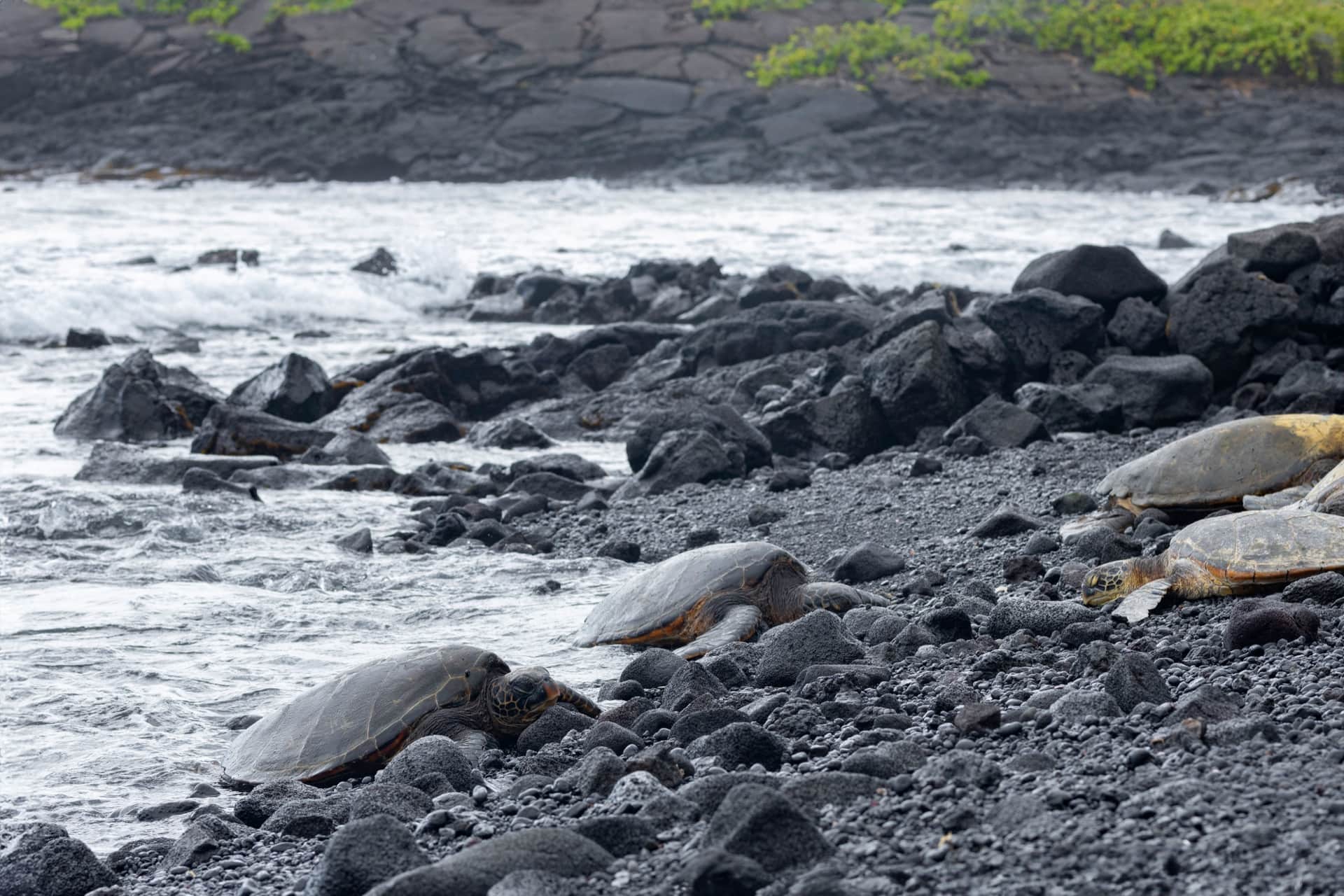 Big Island, volcans actifs et plages de sable noir
