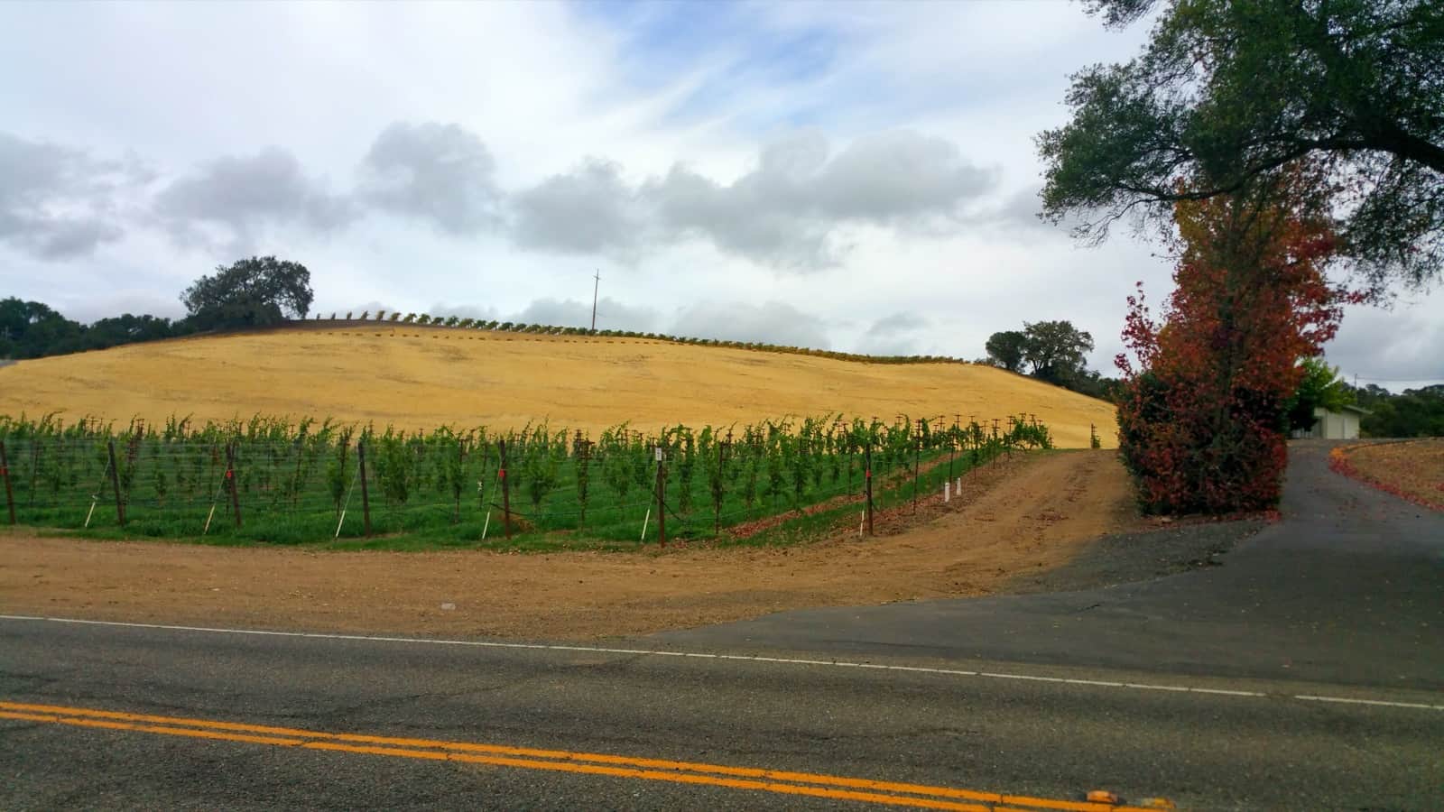 La route des vins : Highway 29 et Silverado Trail