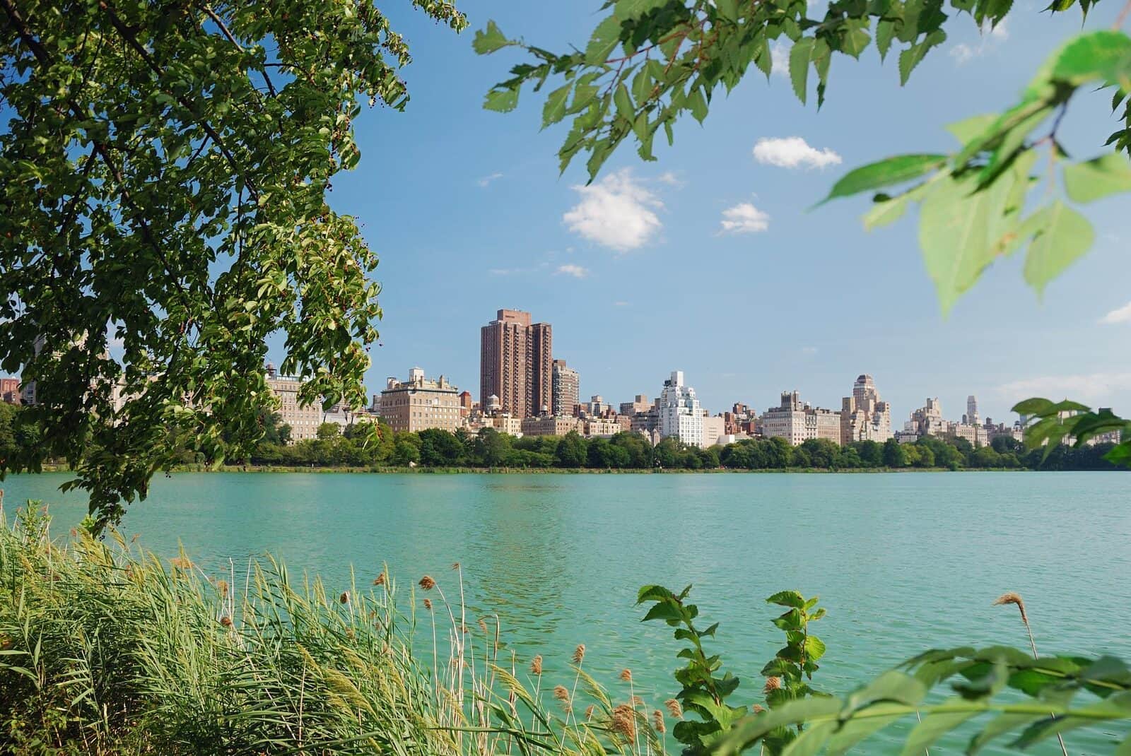 New York en famille : que voir, faire et organiser son séjour