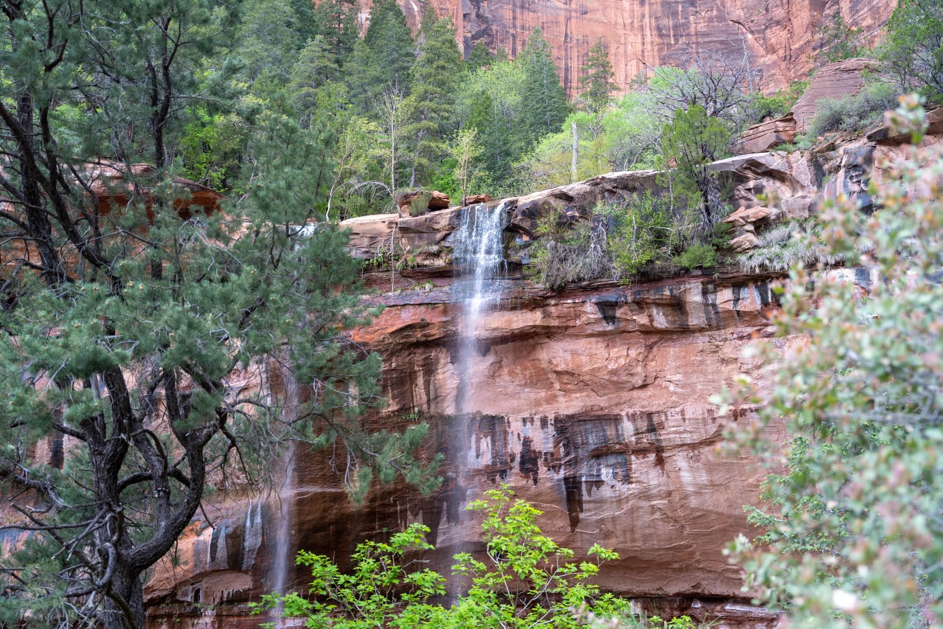 Les randonnées de Zion National Park classées par niveau