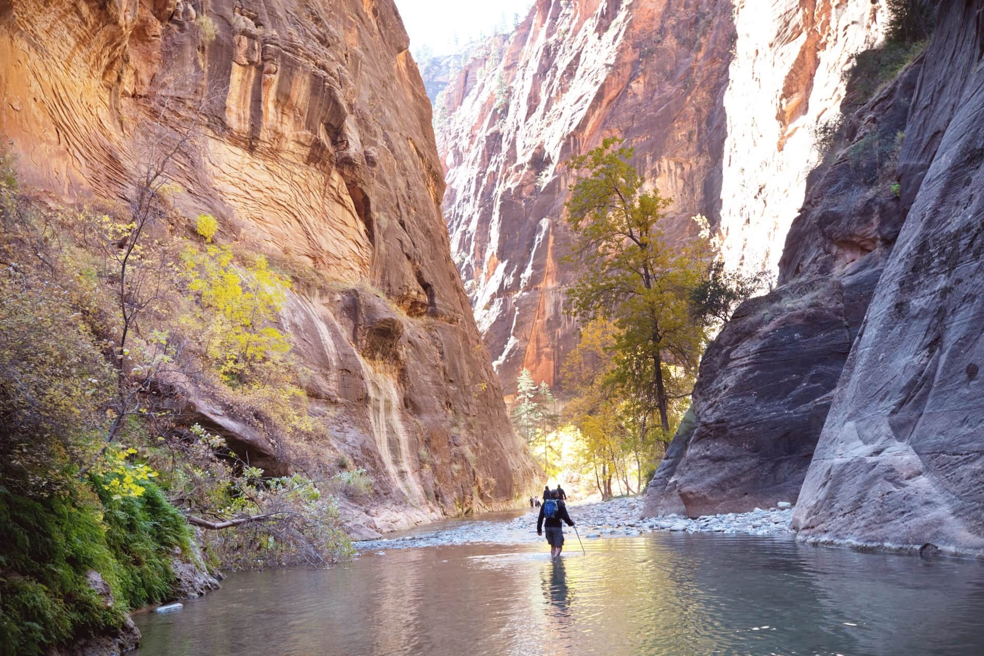 The Narrows : randonner dans la rivière Virgin