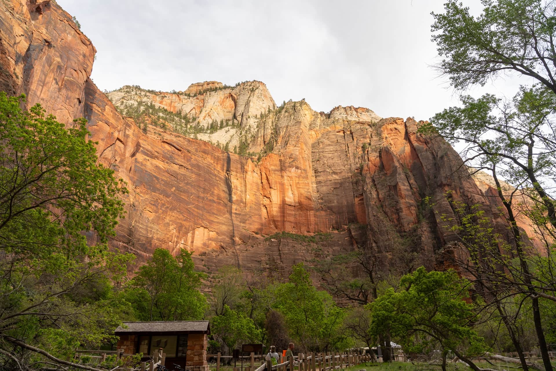 Où dormir près de Zion National Park : Springdale
