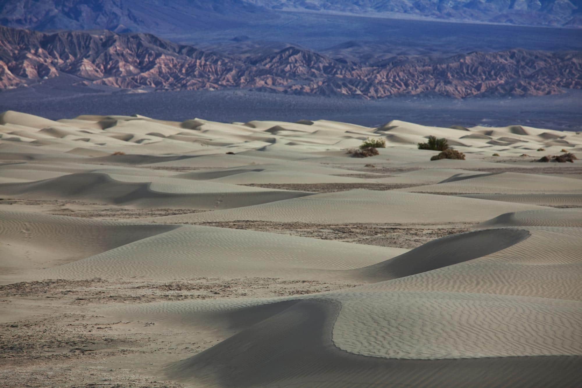 Variante Death Valley en option courte