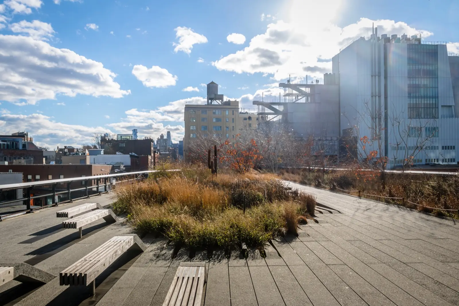 La High Line et les parcs à explorer avec des enfants