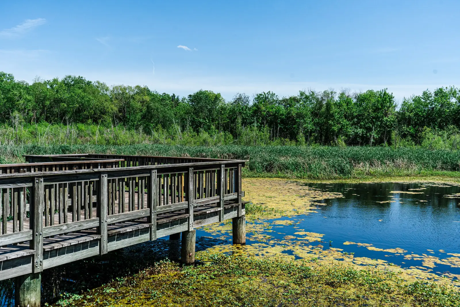 Les parcs d'État (State Parks), une alternative économique aux parcs à thème