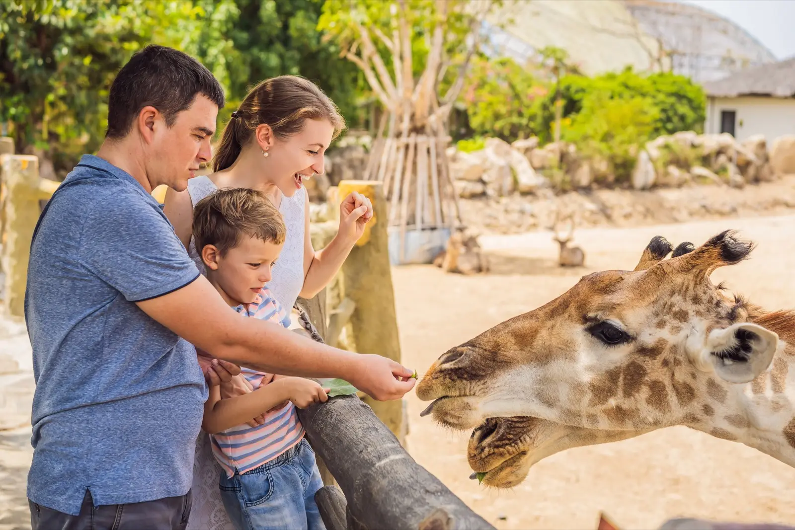 Pourquoi la Californie est-elle une destination si adaptée aux familles ?