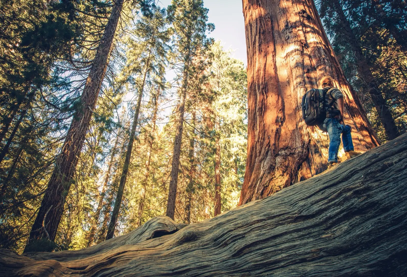 Quel âge pour quelles activités en Californie ?