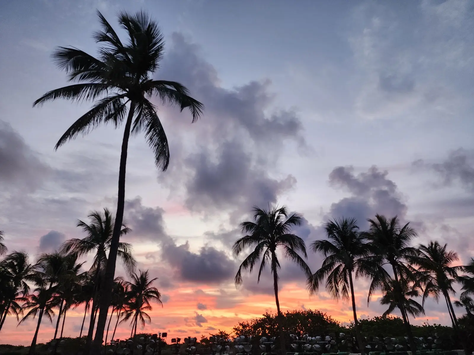 Floride en famille : que faire avec des enfants