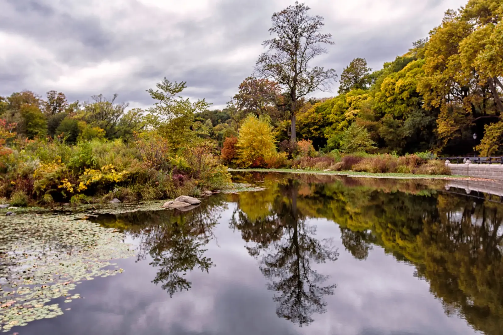 Où voir le foliage à Central Park et dans les autres parcs