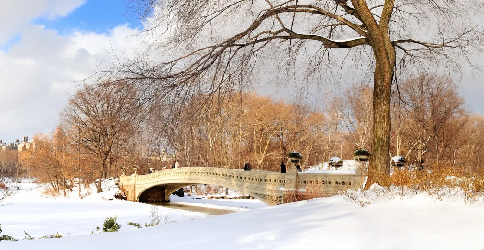La neige à Central Park et les activités en plein air