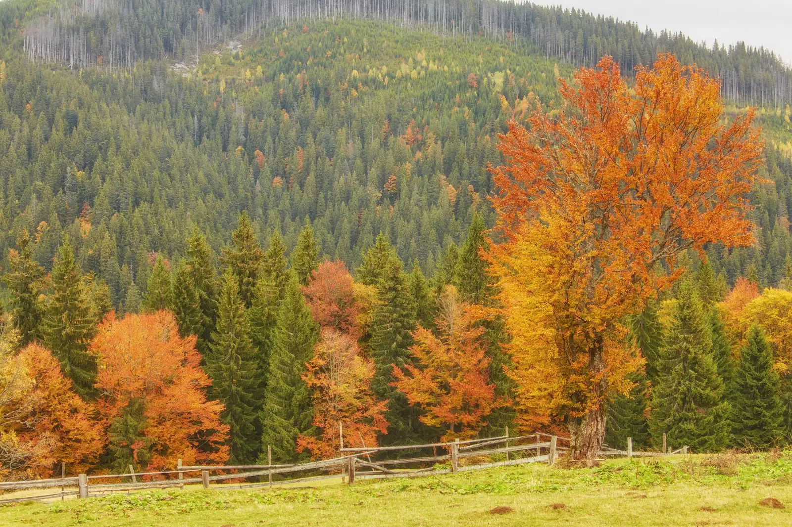 Quelle saison choisir pour un premier voyage ?