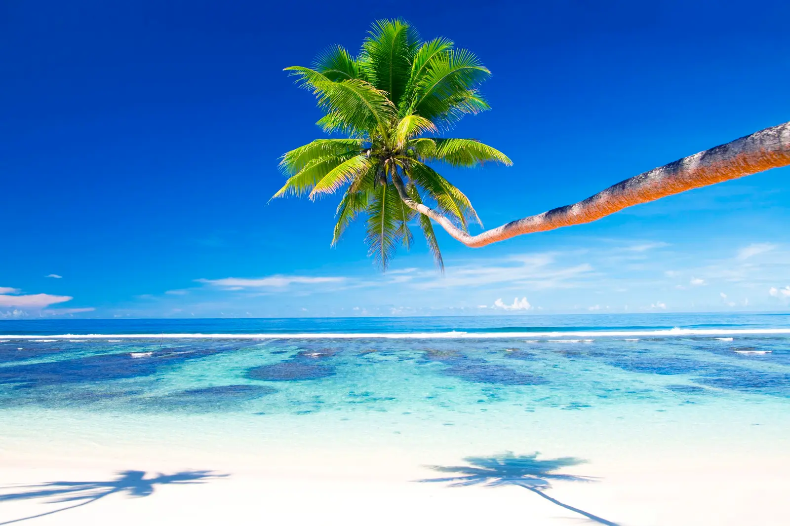 Floride et Sud-Est : choisir son camp entre soleil d'hiver et saison des ouragans
