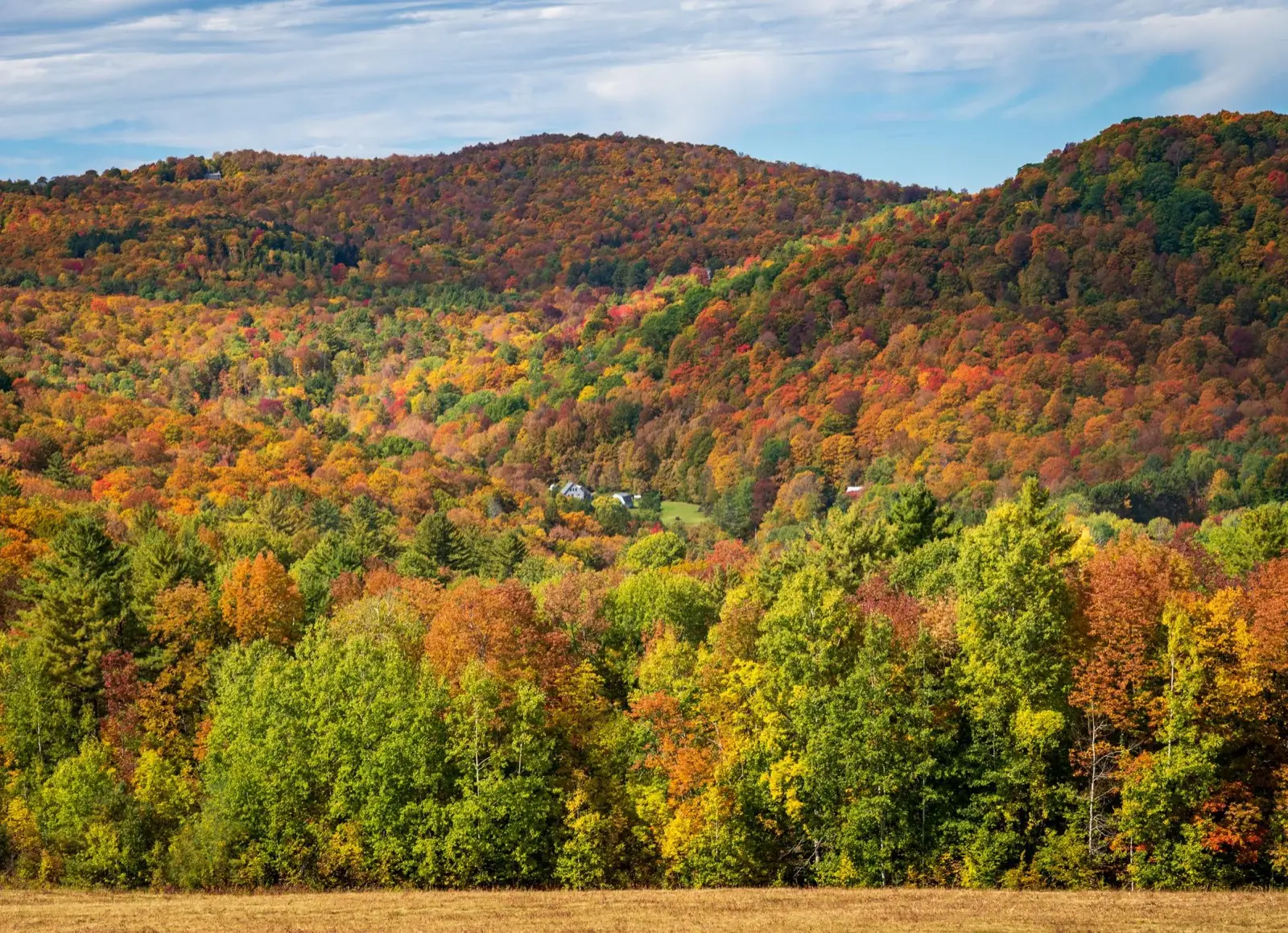 Printemps et automne : les fenêtres météo idéales