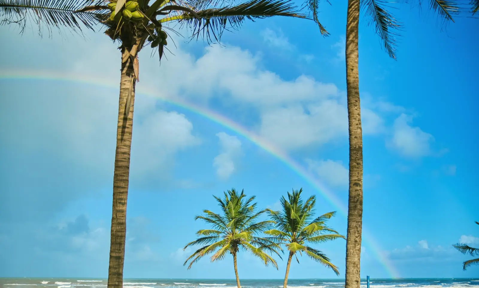 Quand partir en Floride ? Le guide mois par mois