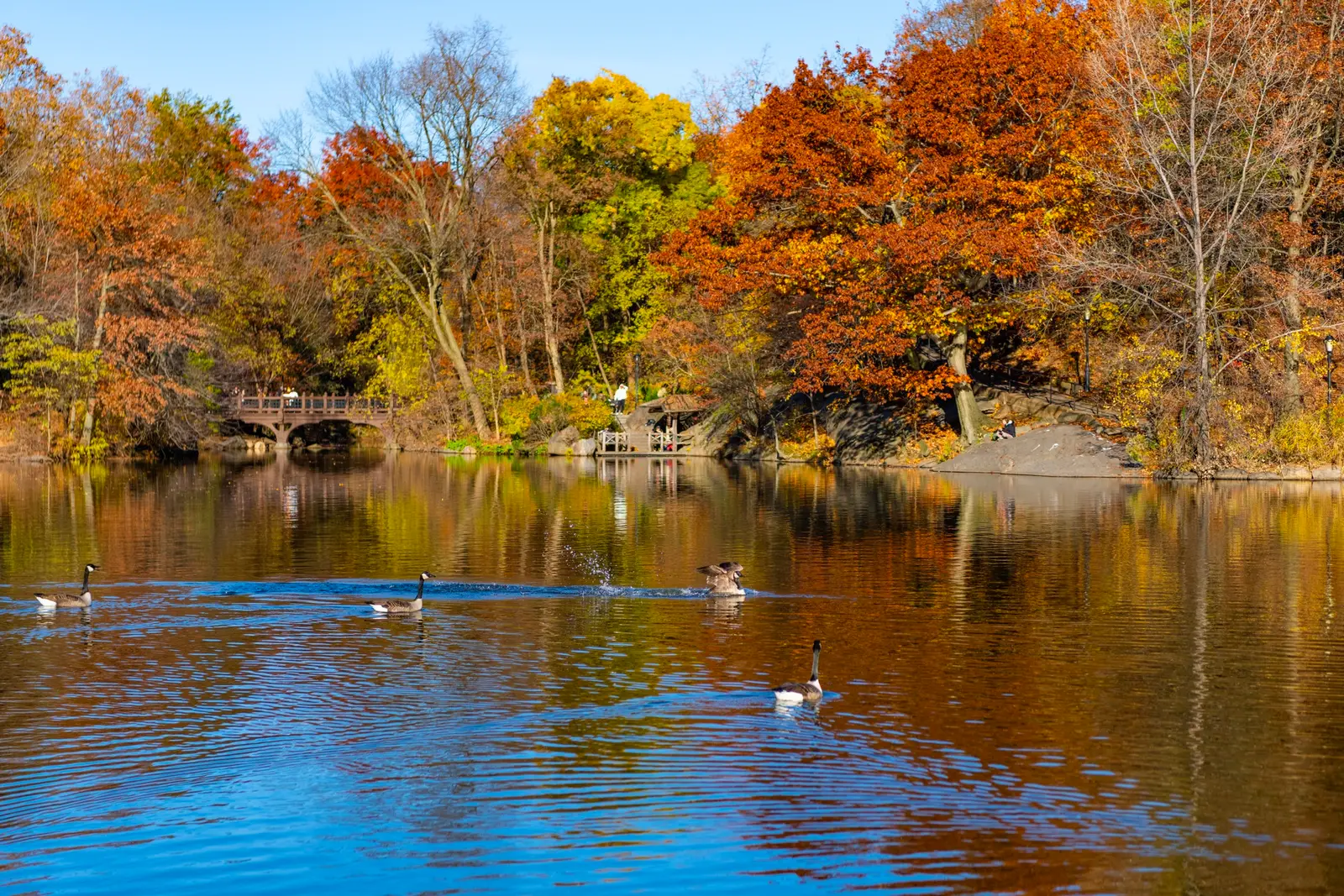 Automne à New York (septembre à novembre), la saison préférée des voyageurs