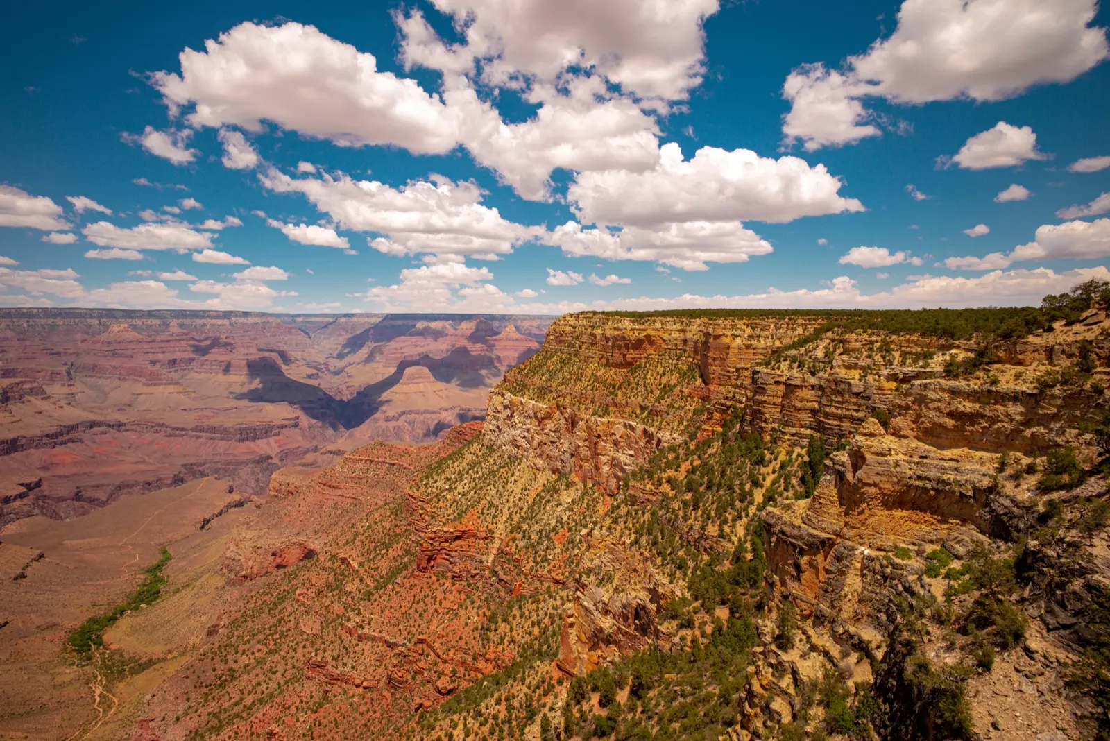 Parcs nationaux : 3 astuces pour un voyage USA pas cher en pleine nature