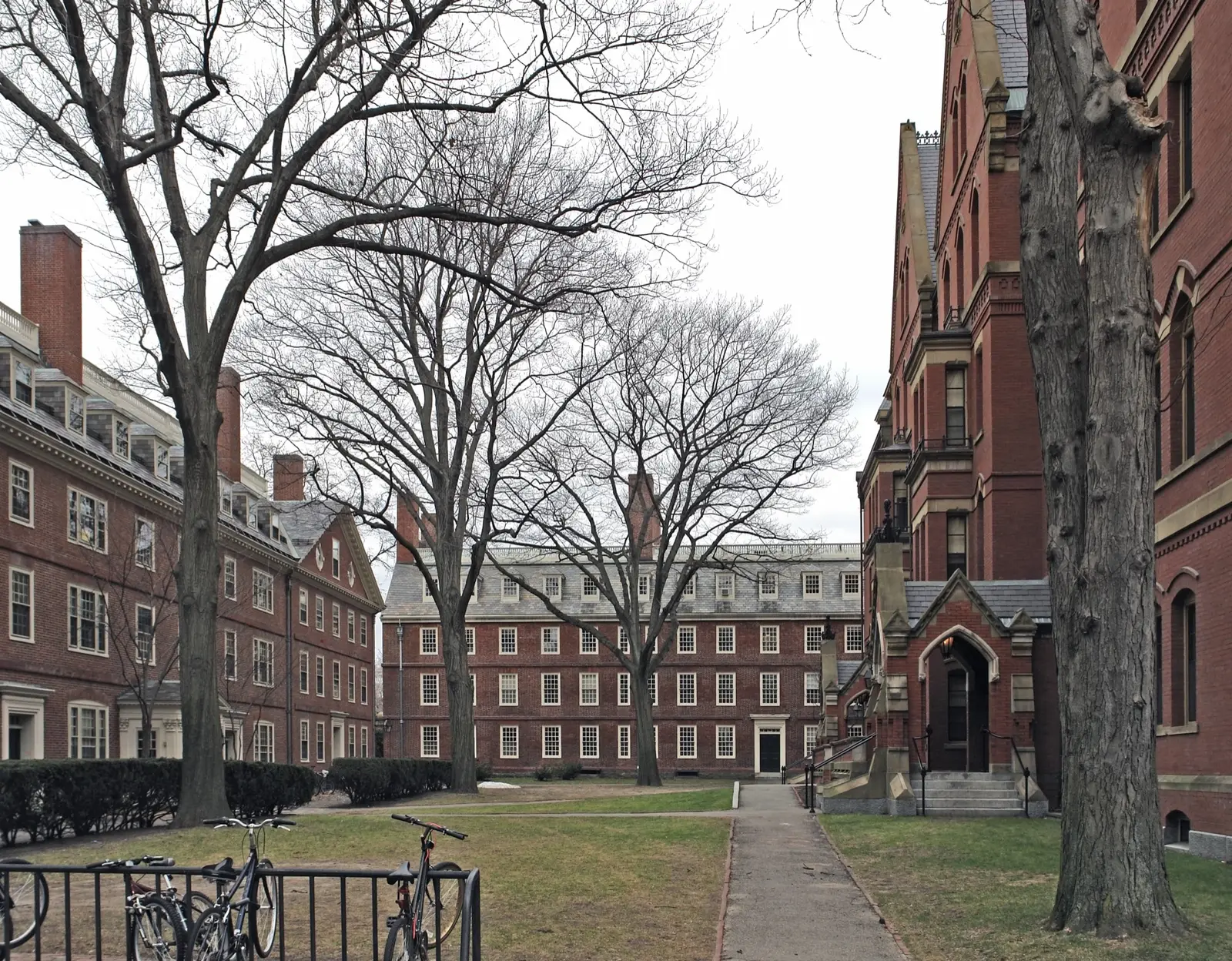 Cambridge, Harvard et MIT : une demi-journée à part