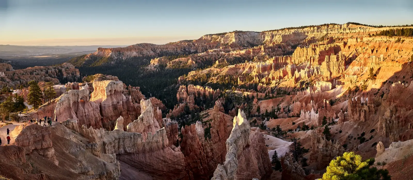 Bryce Canyon en un coup d'œil : les hoodoos et l'Amphithéâtre