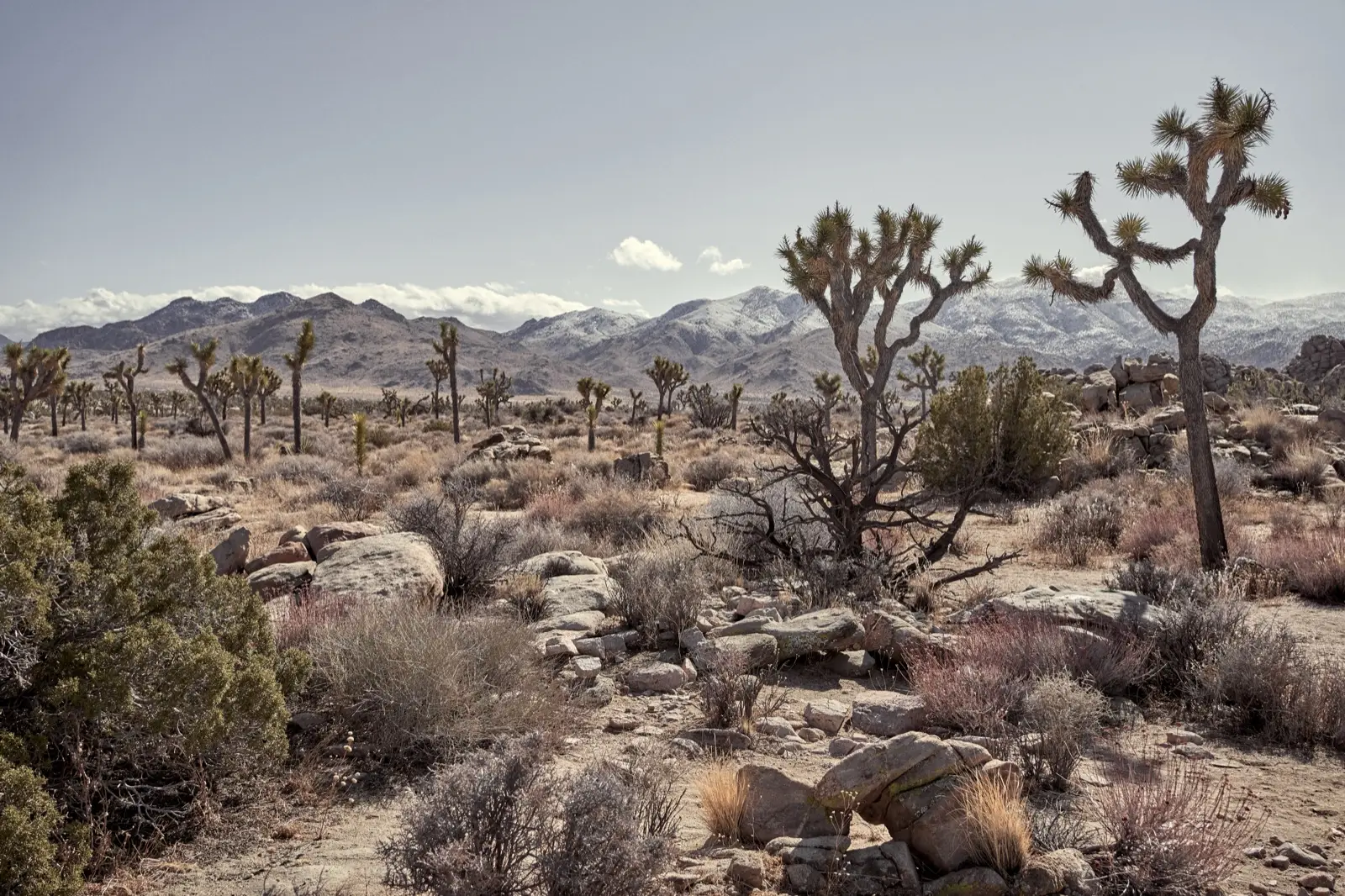 Furnace Creek, le village central du parc