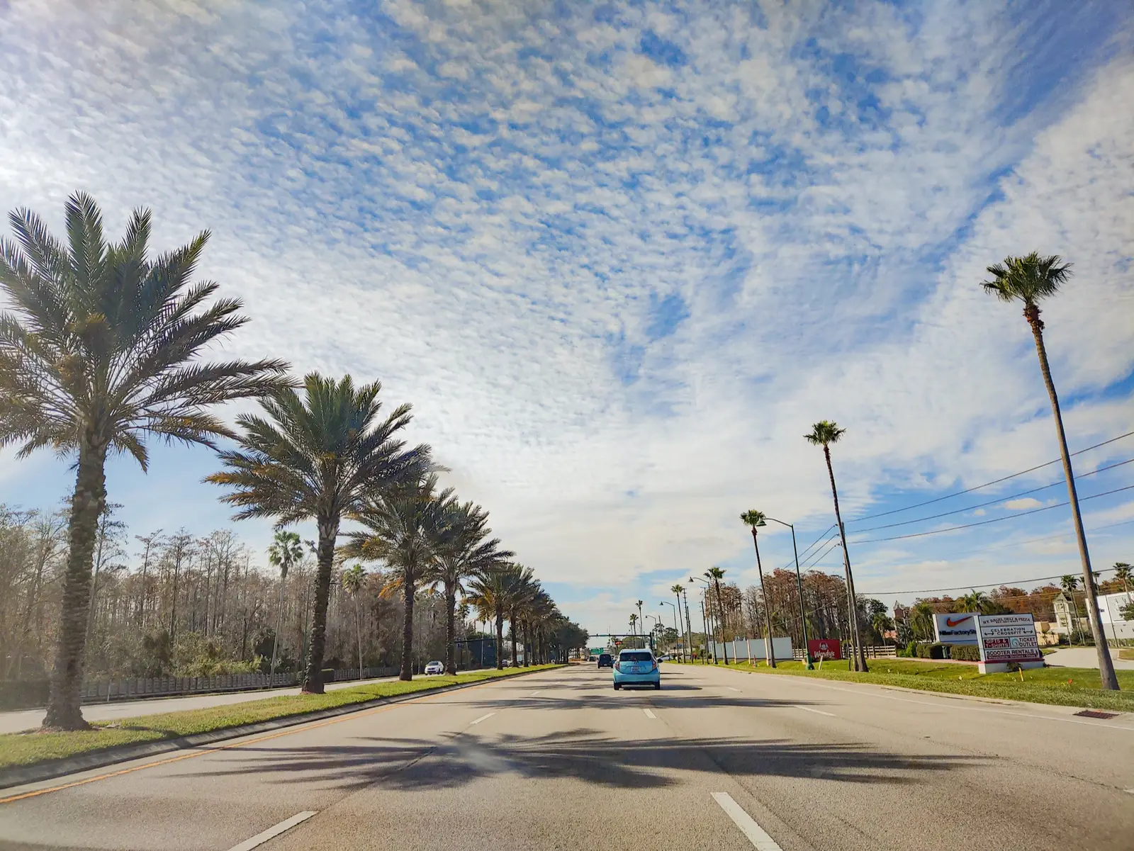 Comment se rendre aux Everglades depuis Miami et depuis Naples
