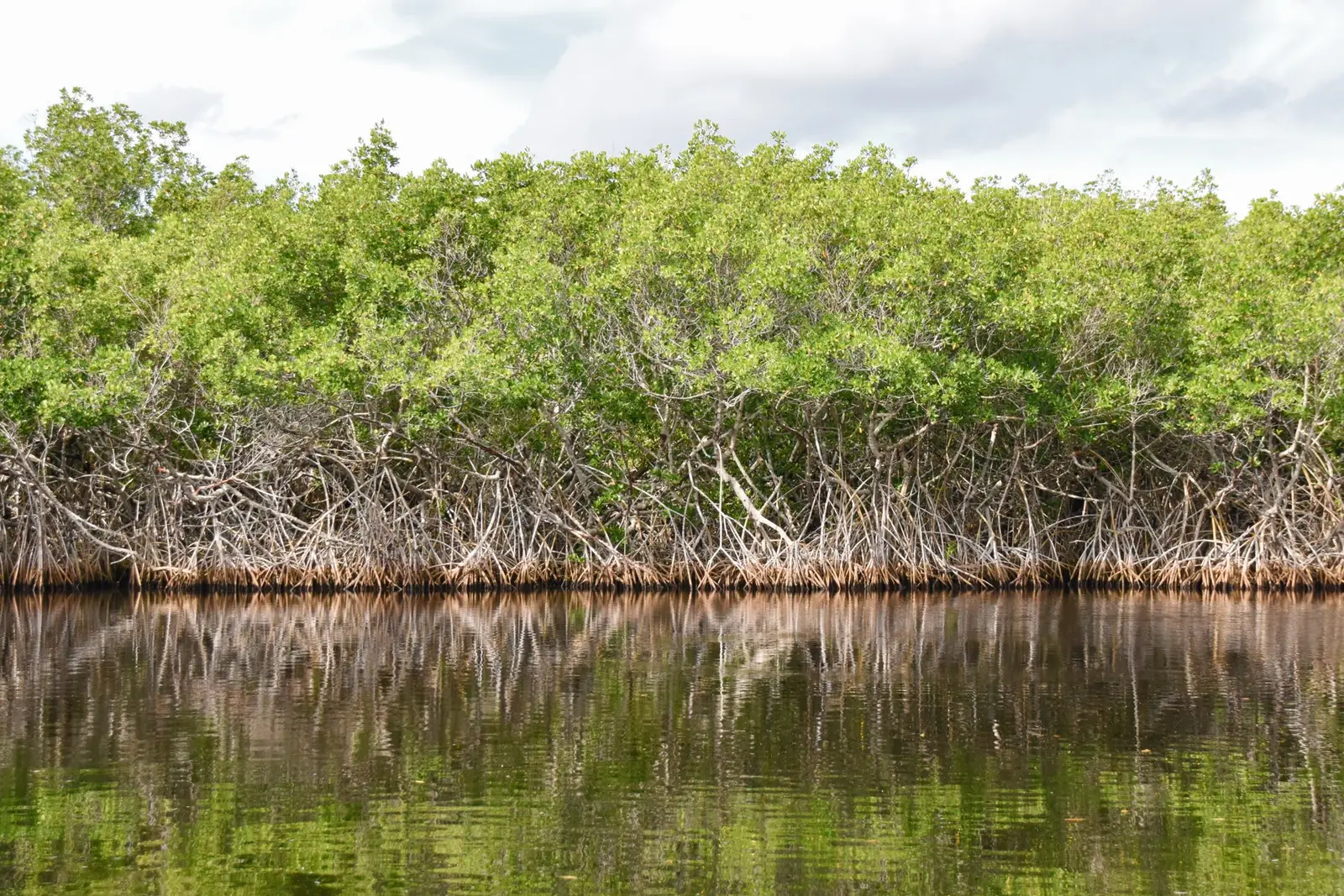 Les 3 entrées principales du parc national des Everglades