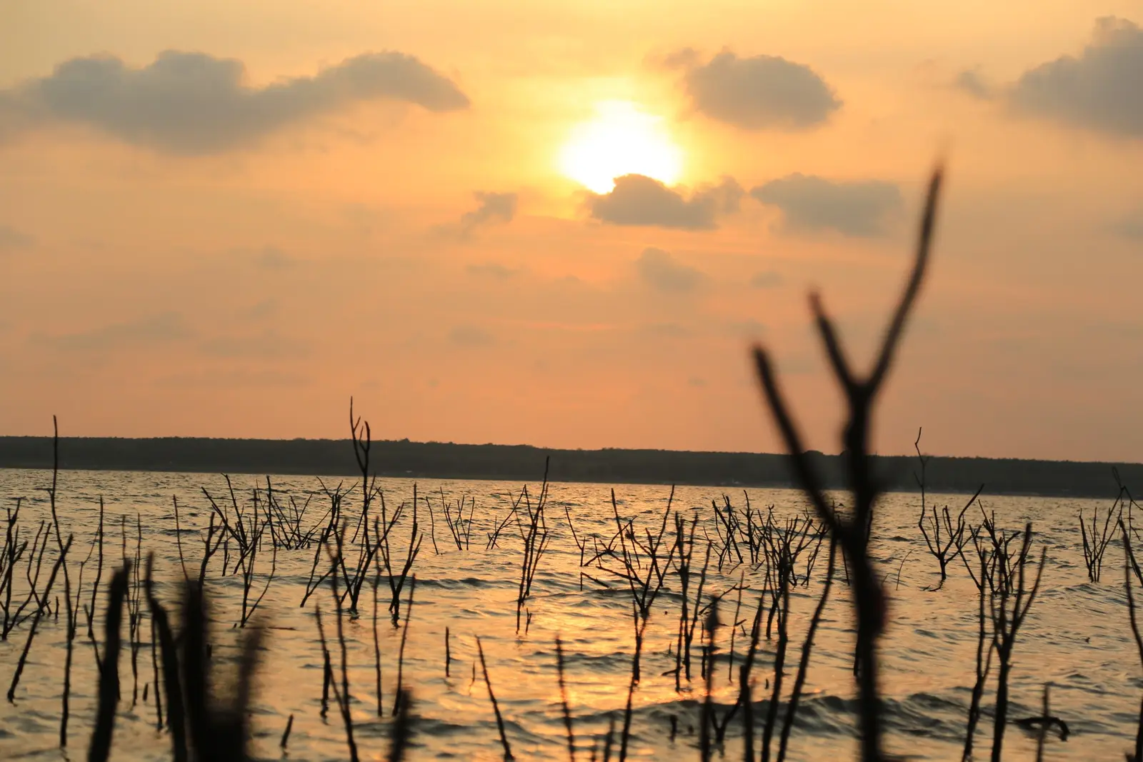 Tarifs, horaires et meilleure saison pour visiter les Everglades