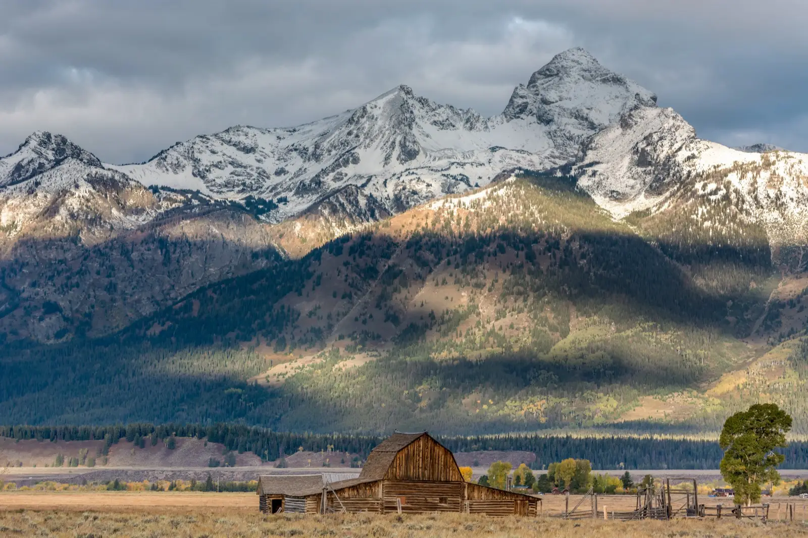 Mormon Row et Snake River Overlook, les vues emblématiques