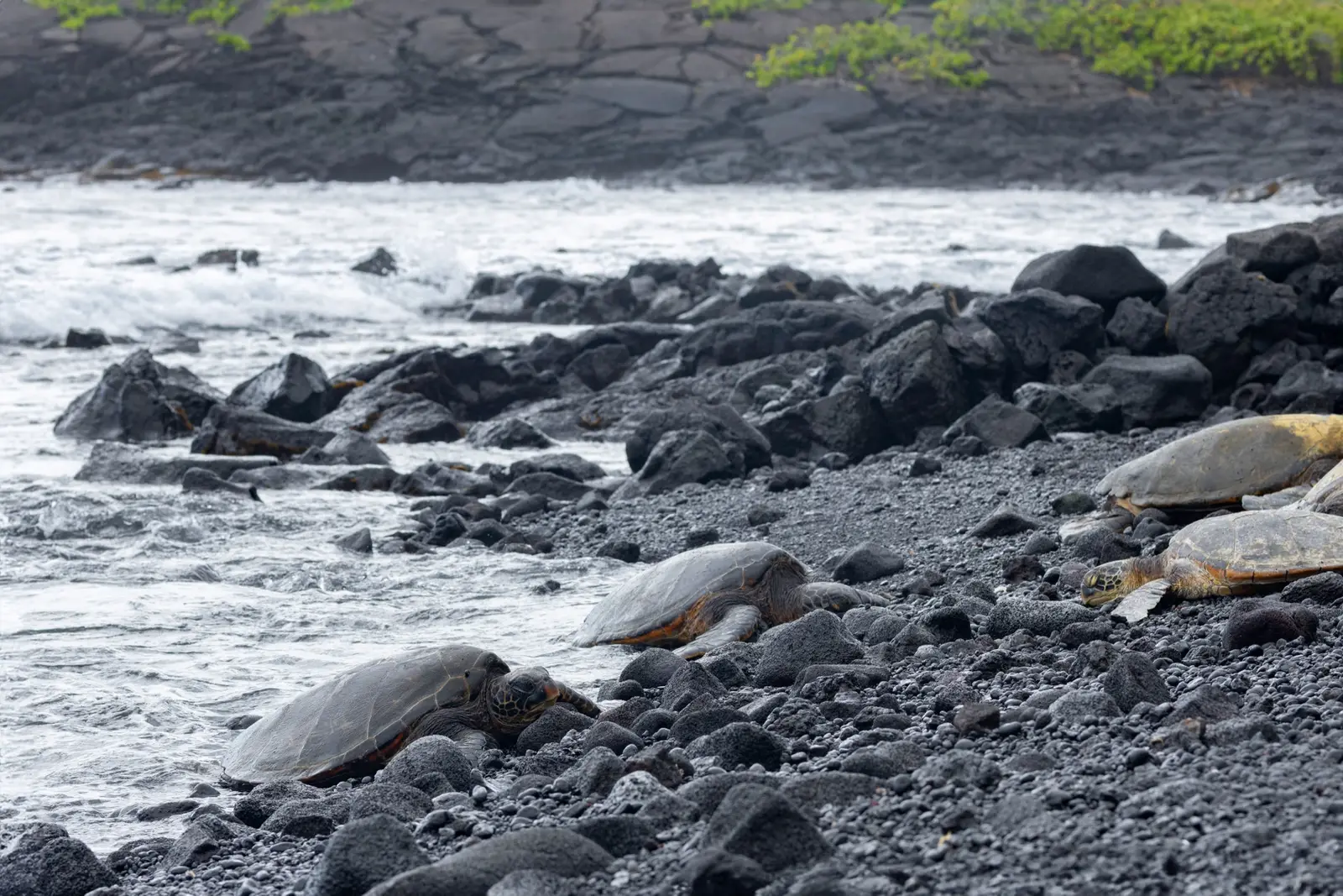 Big Island, volcans actifs et plages de sable noir