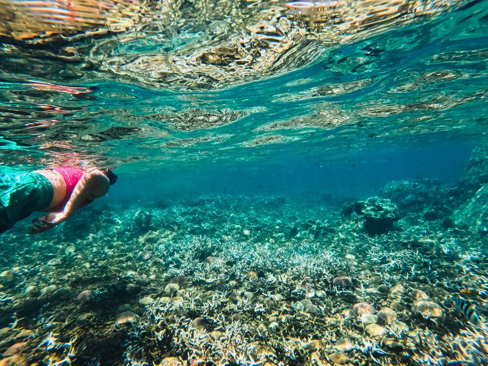 Activités incontournables à Hawaï