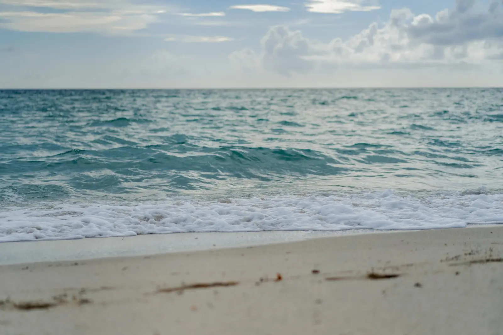 Que faire à Miami : incontournables, quartiers et budget