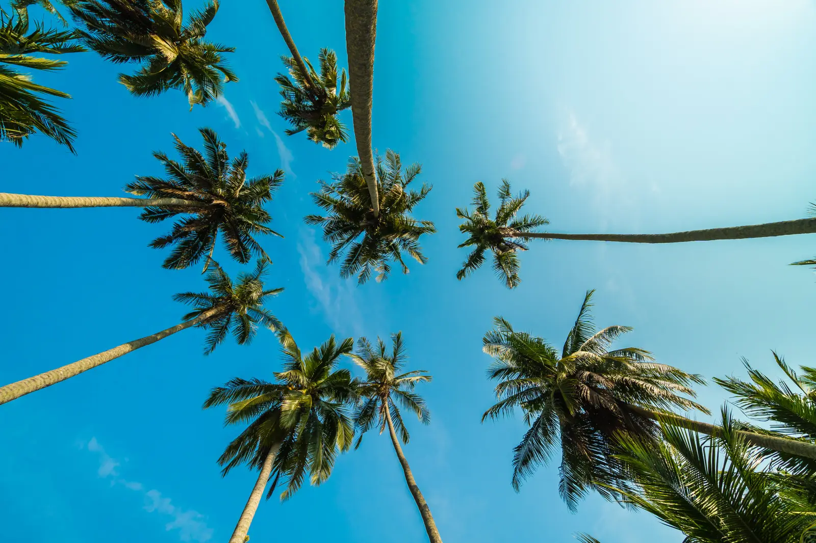 Quand partir à Miami