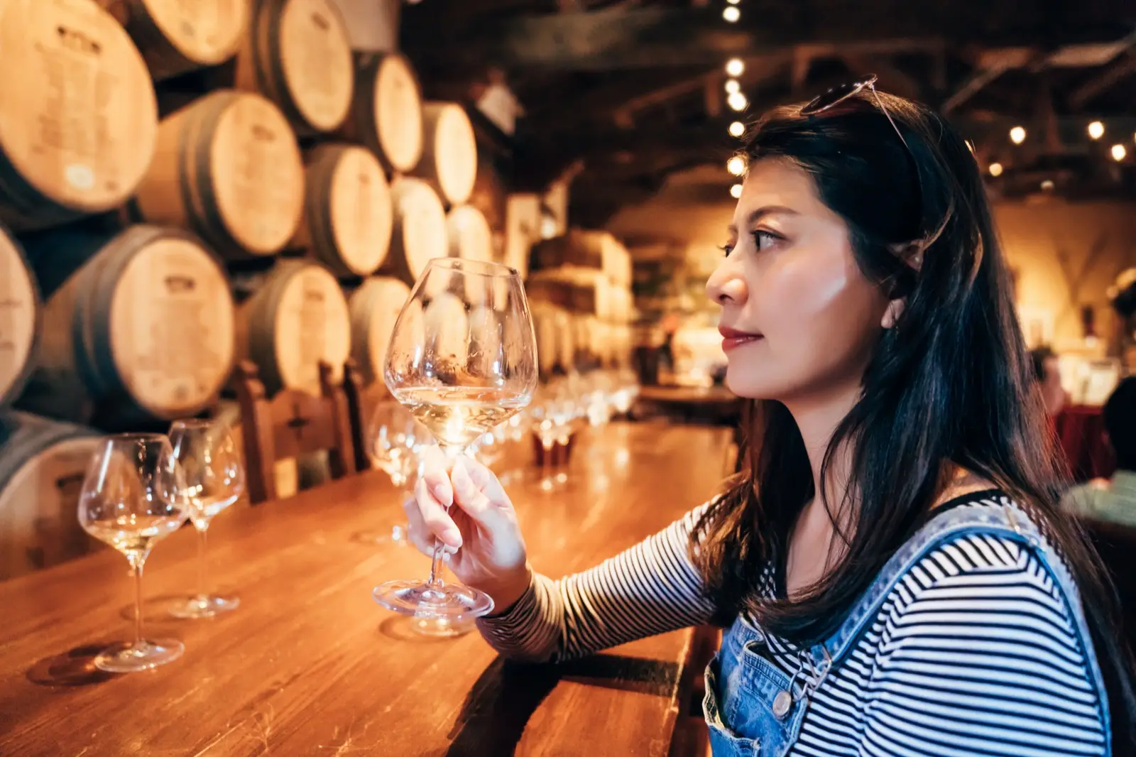 Visiter les domaines viticoles : mode d'emploi