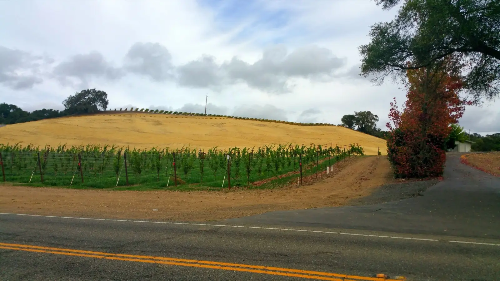 La route des vins : Highway 29 et Silverado Trail
