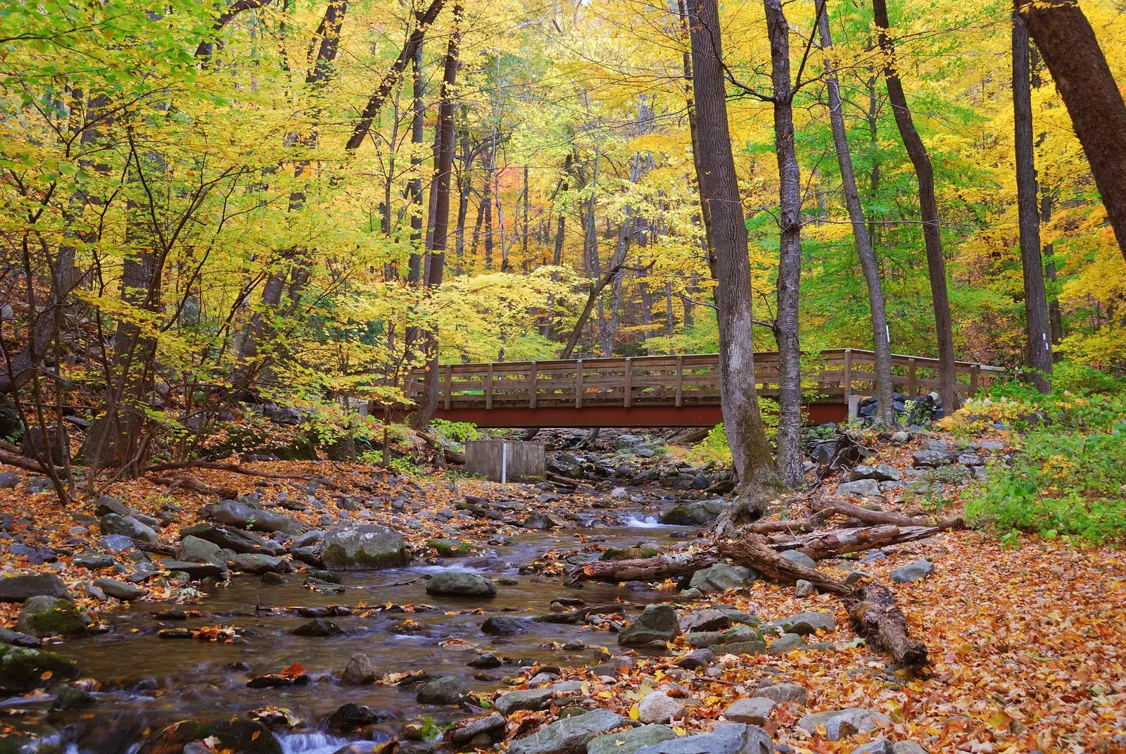 Quelle saison pour les parcs nationaux de l'Ouest ?