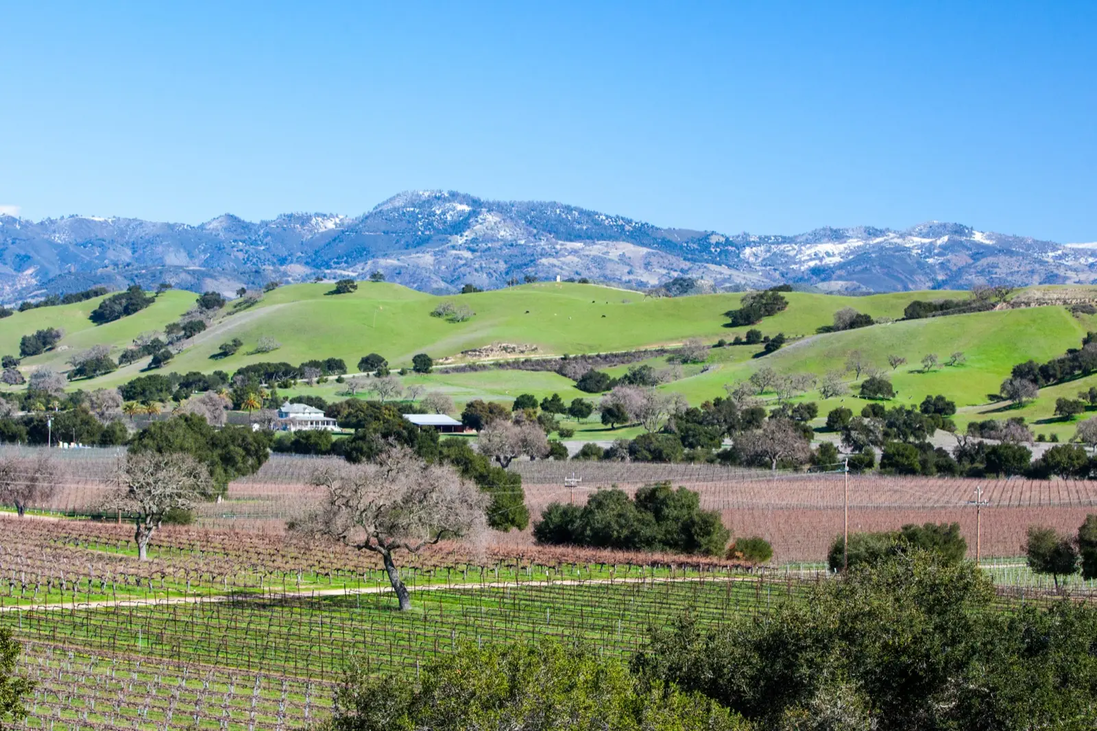 Les vignobles de la Santa Ynez Valley, sur les traces de Sideways