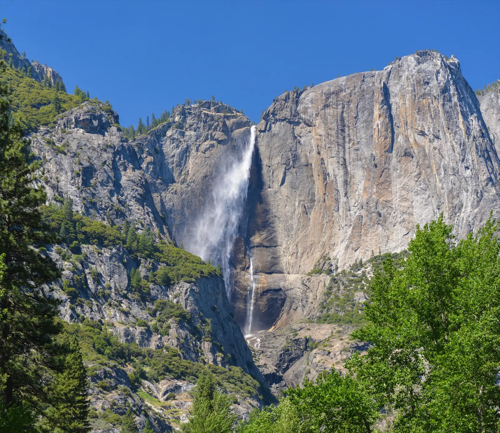 Visiter Yosemite Falls, la plus haute chute d'Amérique du Nord