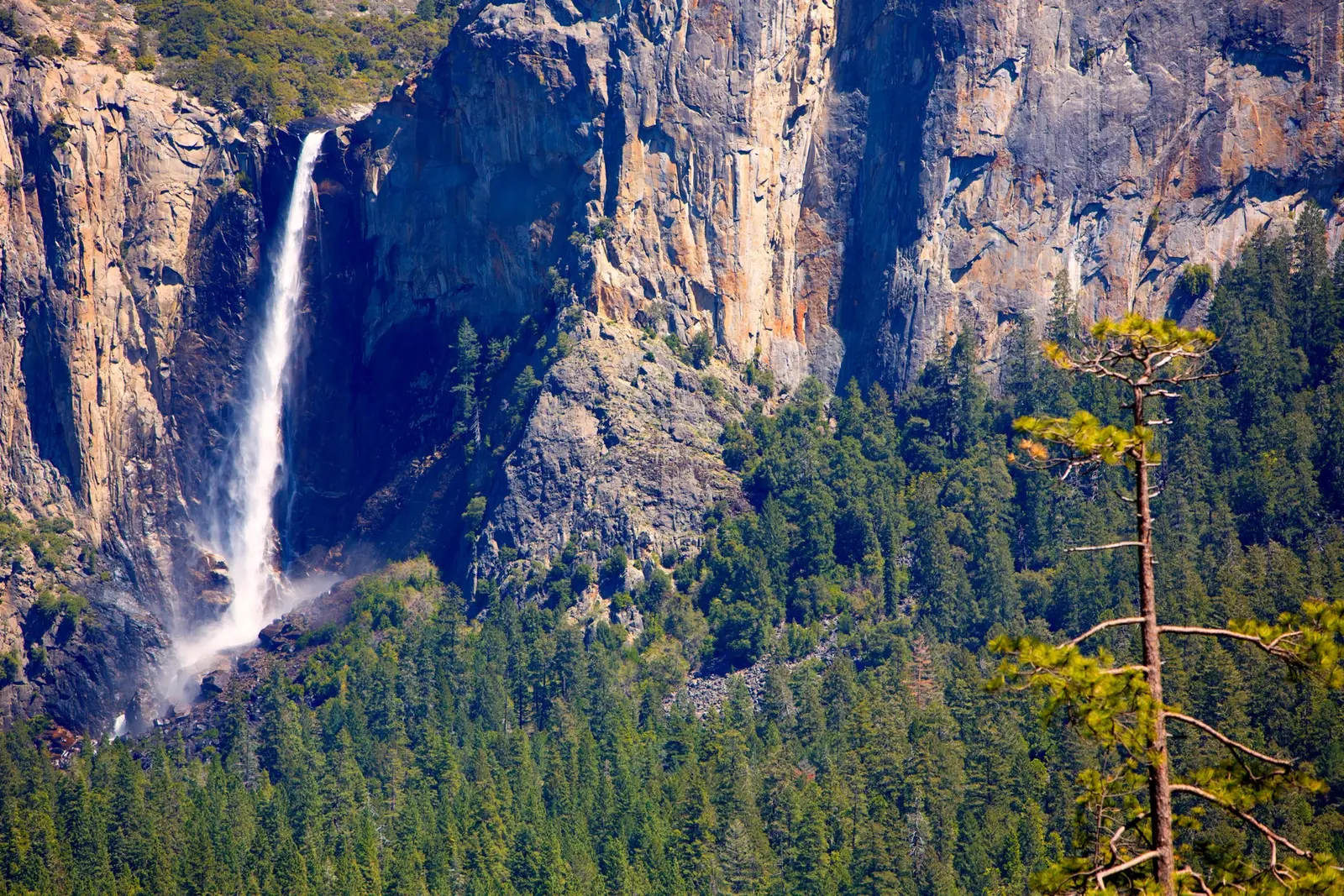 Tarifs d'entrée 2026 et meilleure saison pour visiter Yosemite