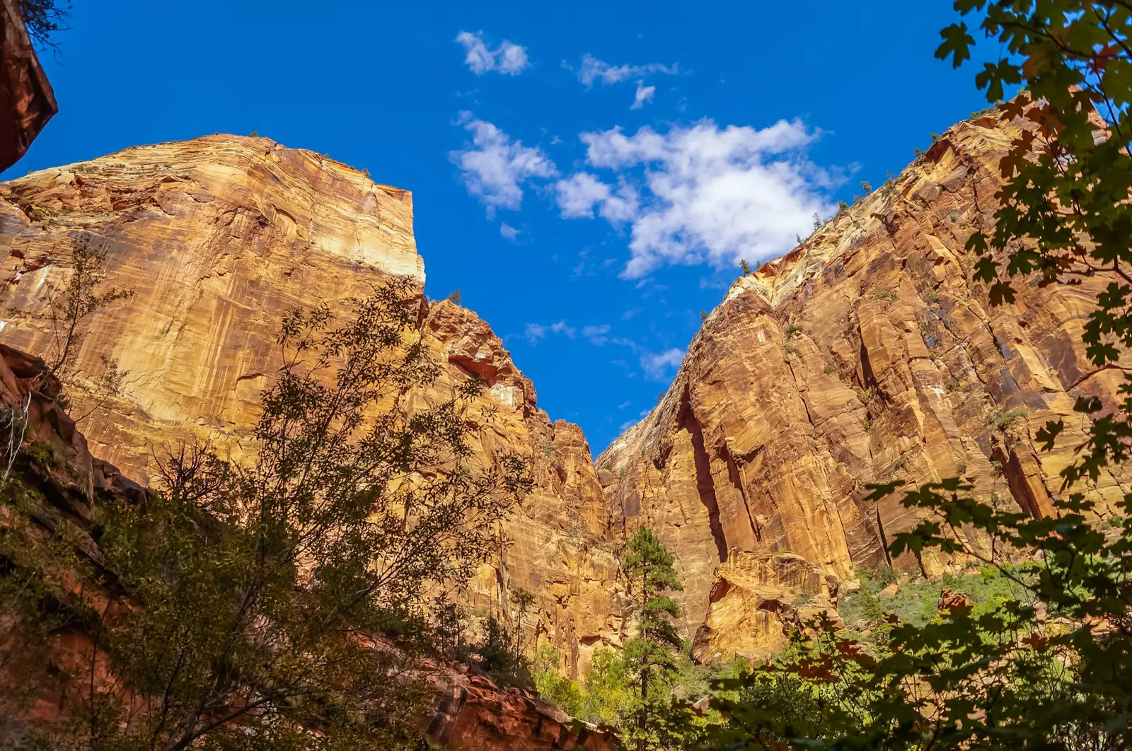 Zion National Park en bref : ce qu'il faut savoir avant de partir