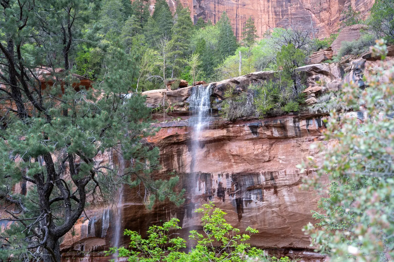 Les randonnées de Zion National Park classées par niveau