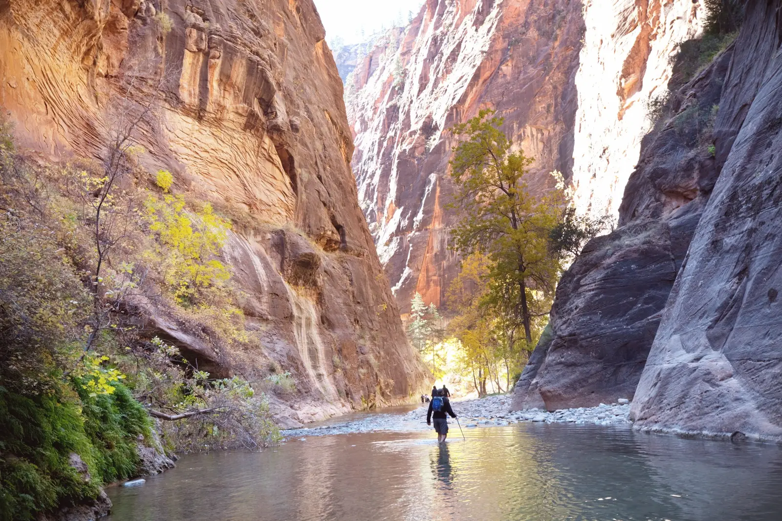 The Narrows : randonner dans la rivière Virgin