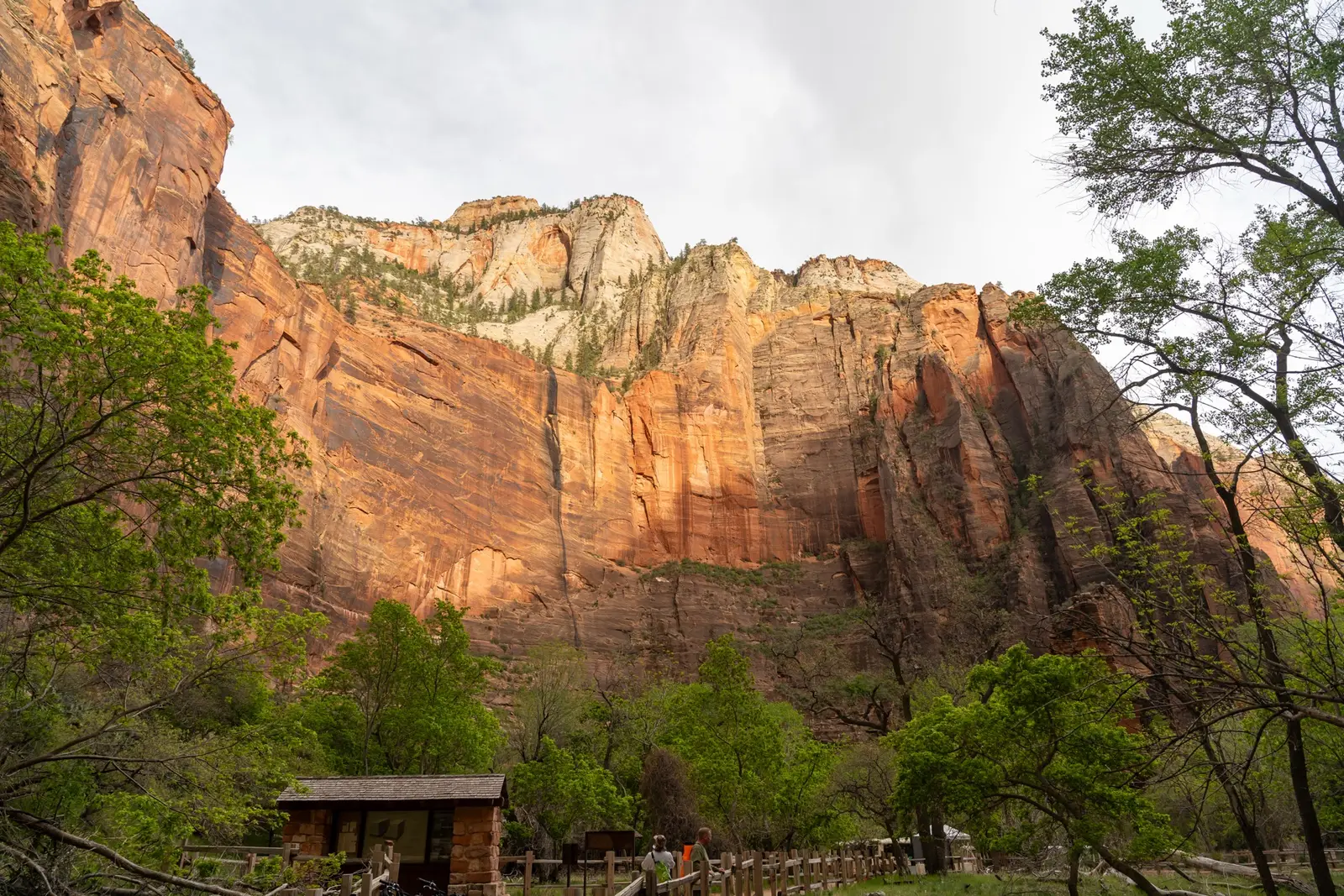 Où dormir près de Zion National Park : Springdale