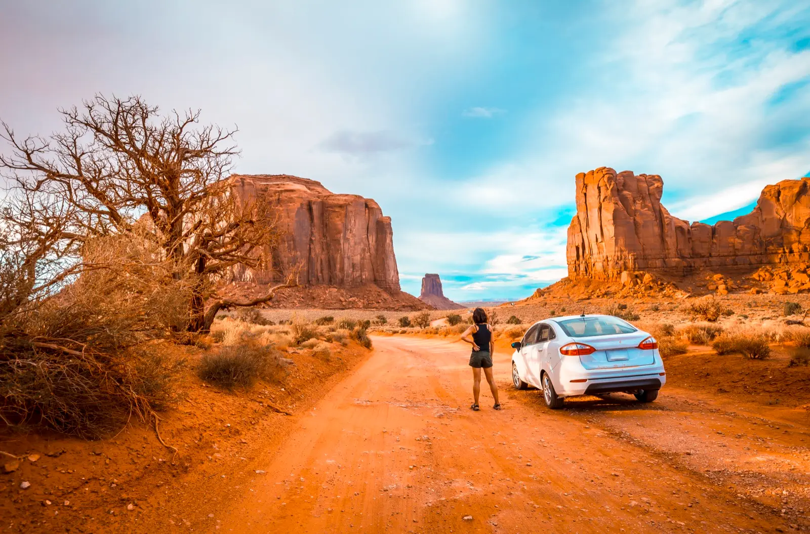 Camping-car USA Ouest ou voiture de location : quel choix pour votre road-trip ?