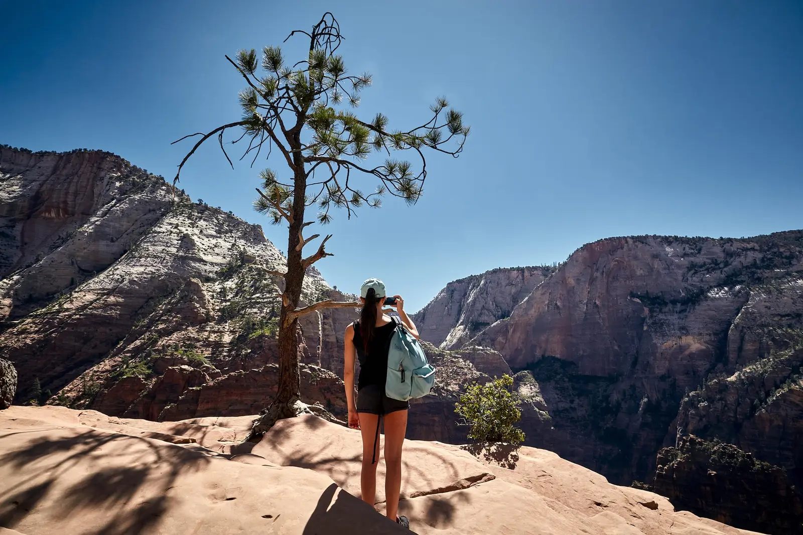Randonneuse à Zion National Park, destination de la loterie Angels Landing