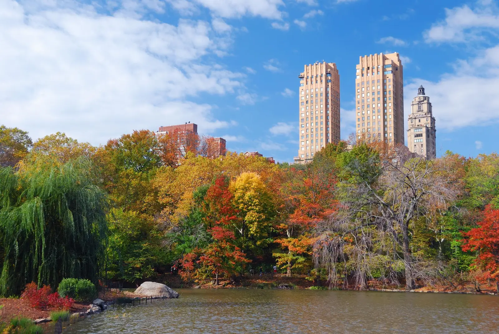 Jour 4 - Central Park et musées : la journée nature et culture