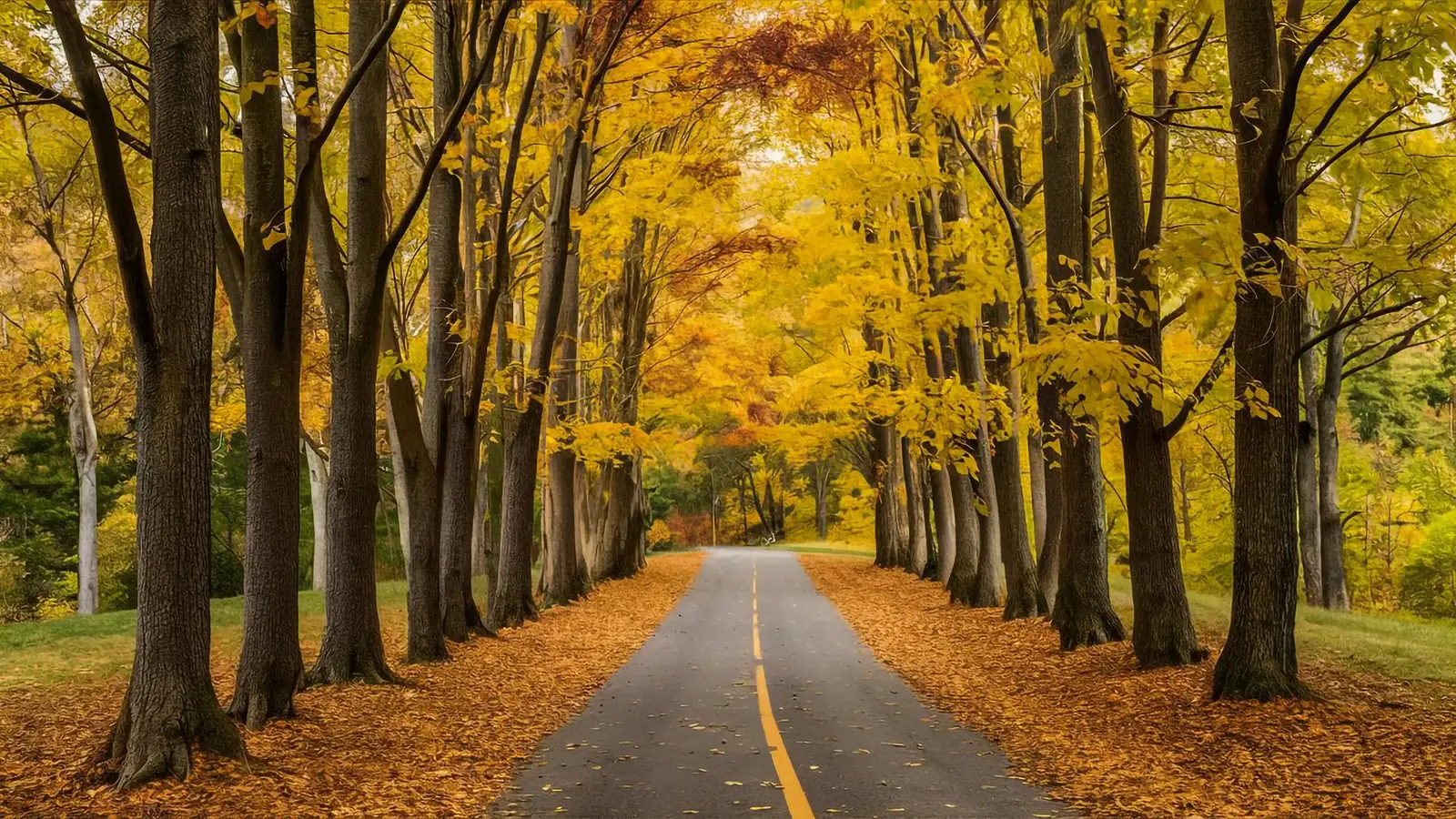 Road trip Nouvelle-Angleterre en automne : itinéraire foliage 10 jours