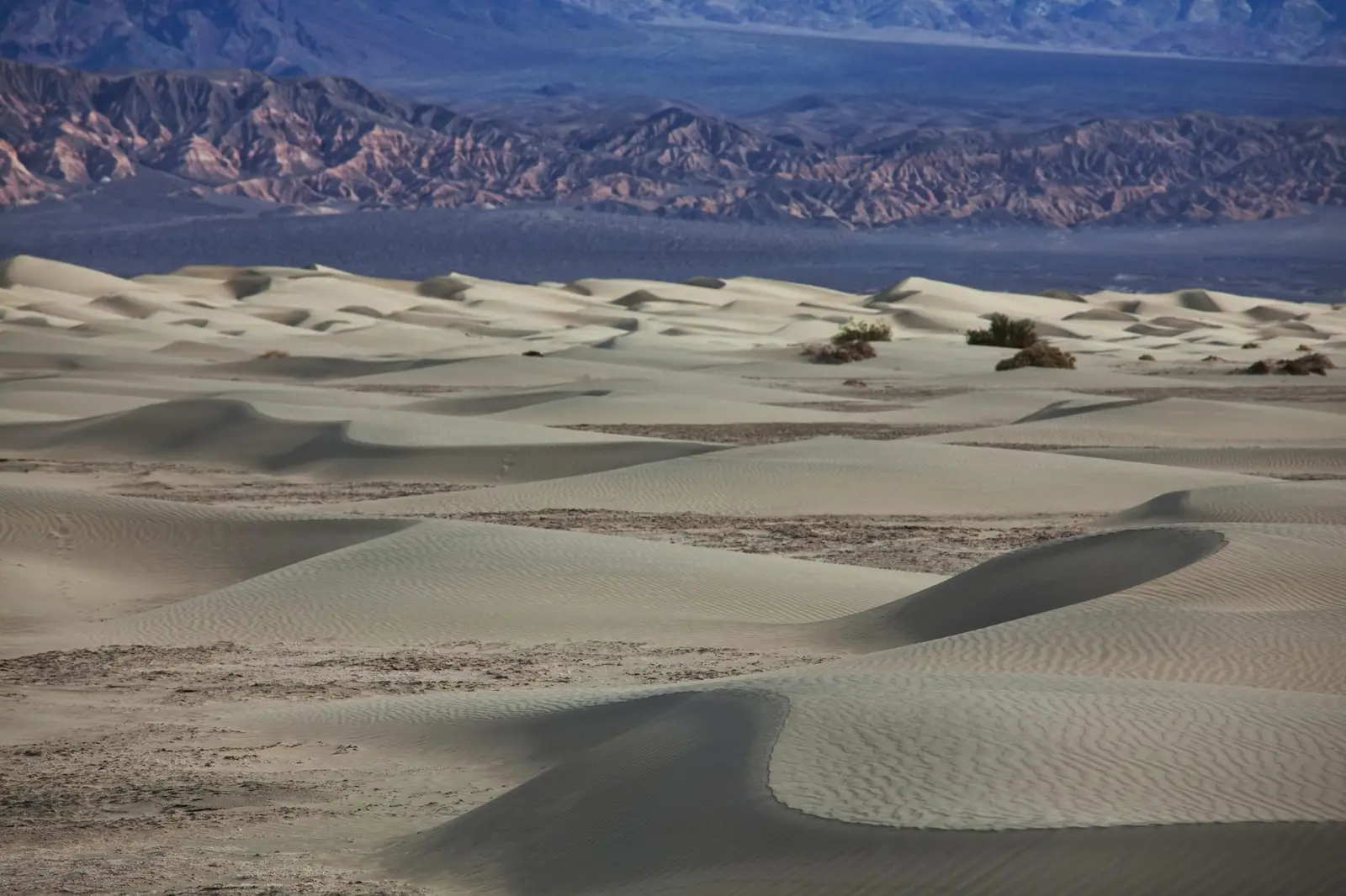 Variante Death Valley en option courte