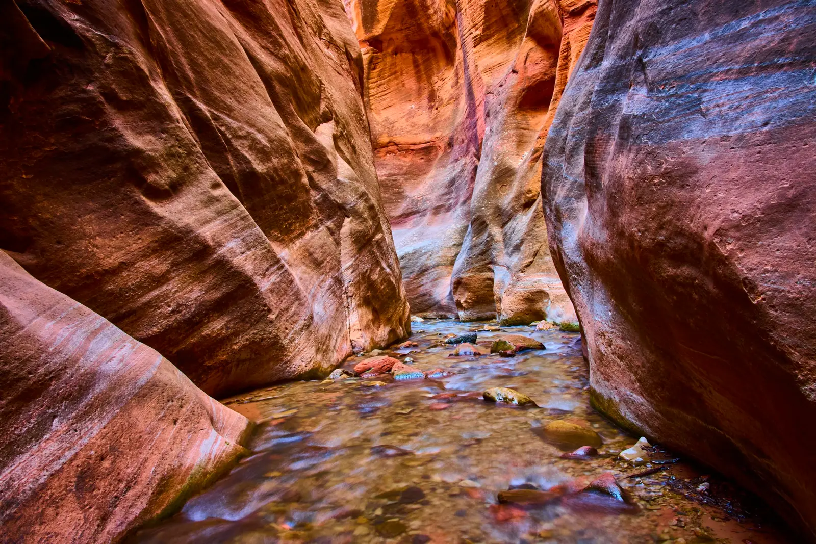 Jours 9 à 10 : Zion National Park