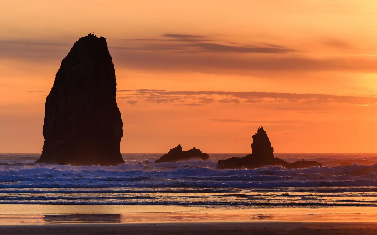 Road trip Pacific Northwest : Seattle, Olympic et Oregon en 9 jours