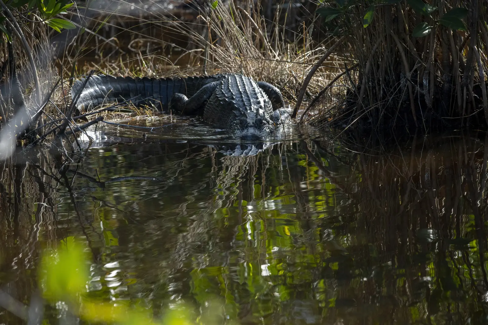 Budget road trip Floride 2 semaines en famille